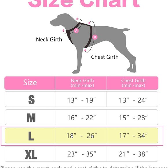 Rabbitgoo Dog Harness, No-Pull Pet Harness with 2 Leash Clips - Picture 4 of 8